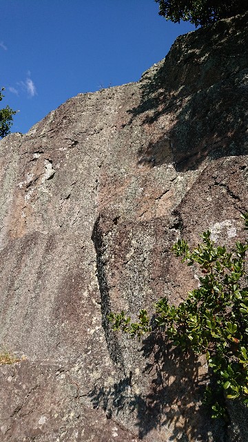 f:id:jfcgym:20211103181806j:image f:id:jfcgym:20211103181806j:image