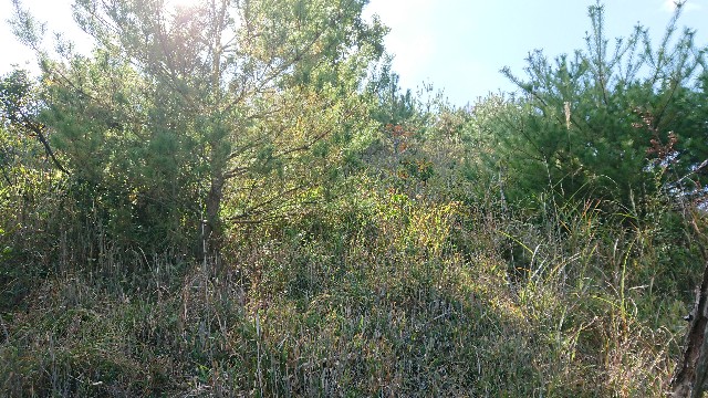 f:id:jfcgym:20211103182437j:image f:id:jfcgym:20211103182437j:image