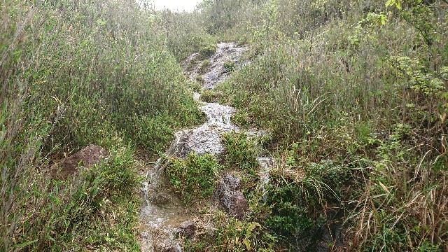 f:id:jfcgym:20220427164906j:image