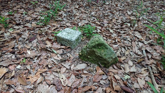 f:id:jfcgym:20220520160230j:image f:id:jfcgym:20220520160230j:image