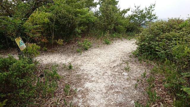 f:id:jfcgym:20220520161151j:image f:id:jfcgym:20220520161151j:image