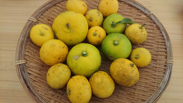 f:id:jfcgym:20221106113015j:image f:id:jfcgym:20221106113015j:image