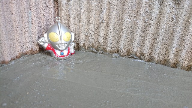 f:id:jfcgym:20221211180345j:image