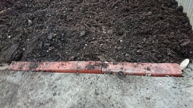 f:id:jfcgym:20221211195436j:image