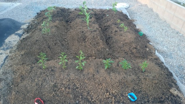 f:id:jfcgym:20221211200108j:image