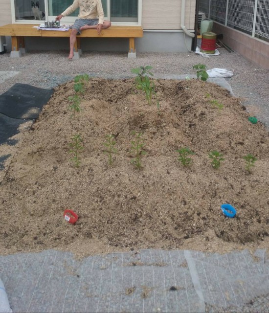 f:id:jfcgym:20221211200125j:image