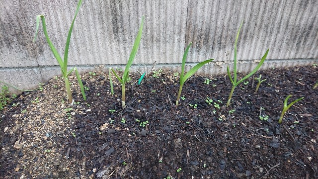 f:id:jfcgym:20230219182005j:image f:id:jfcgym:20230219182005j:image