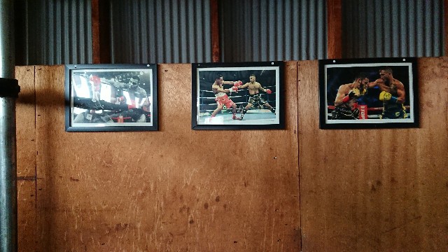 f:id:jfcgym:20230309172937j:image