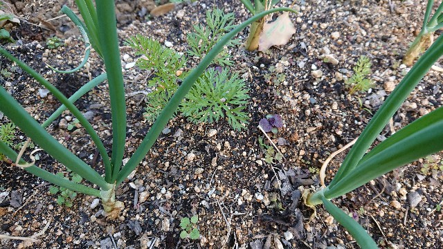 f:id:jfcgym:20230412190233j:image f:id:jfcgym:20230412190233j:image