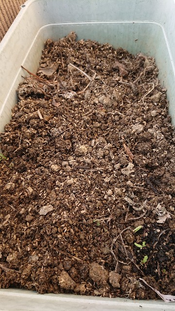 f:id:jfcgym:20230427183629j:image