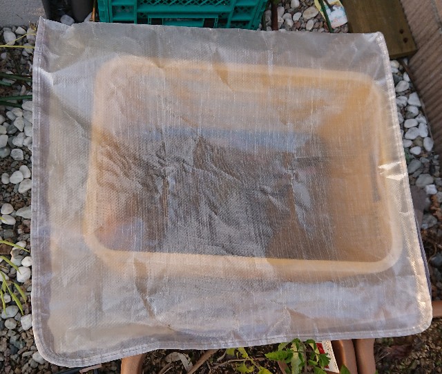 f:id:jfcgym:20230427184047j:image