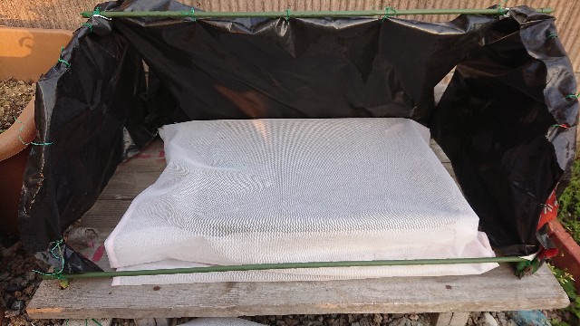 f:id:jfcgym:20230427184316j:image