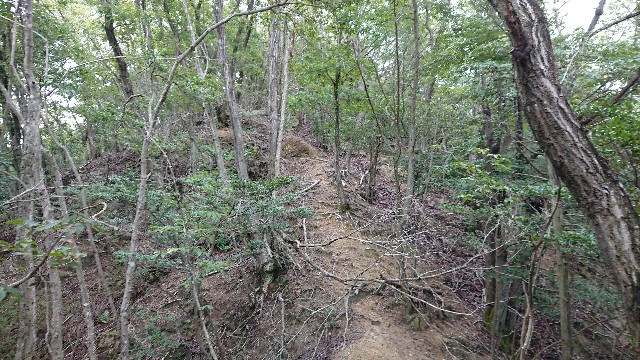 f:id:jfcgym:20230818163903j:image