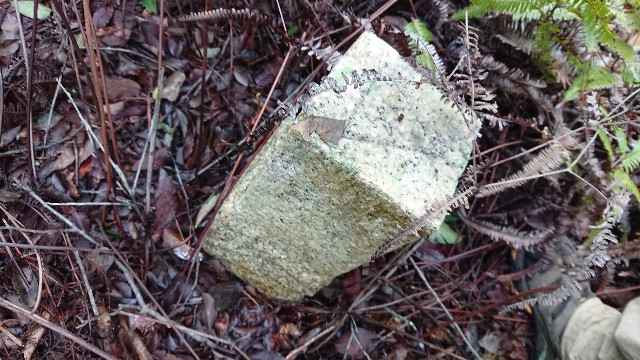 f:id:jfcgym:20230818165404j:image