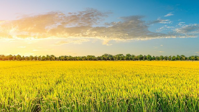 f:id:jfcgym:20230904192557j:image f:id:jfcgym:20230904192557j:image