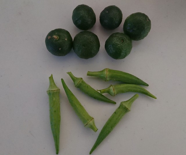 f:id:jfcgym:20230913114701j:image f:id:jfcgym:20230913114701j:image