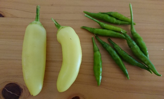 f:id:jfcgym:20230913114729j:image f:id:jfcgym:20230913114729j:image