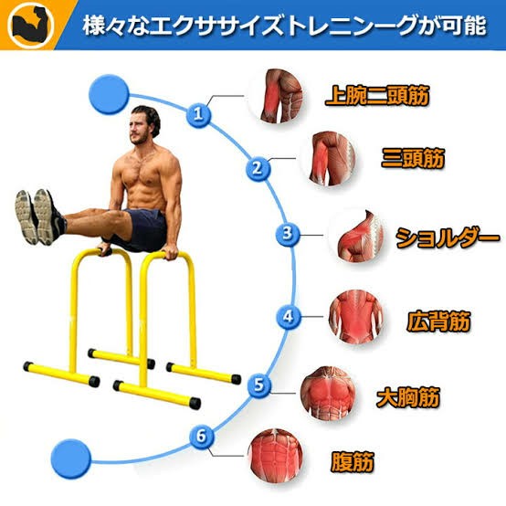 f:id:jfcgym:20231010190858j:image