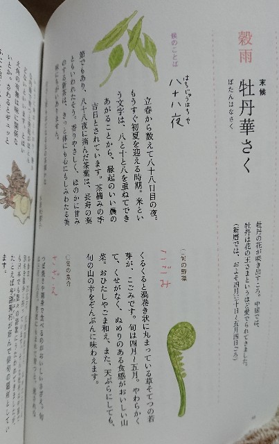 f:id:jfcgym:20240501185611j:image