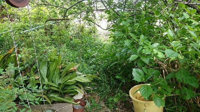 f:id:jfcgym:20240522173801j:image