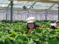 20130505120614