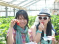 20130505120647