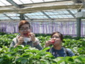 20130505120728