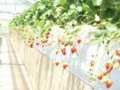 20130505120819