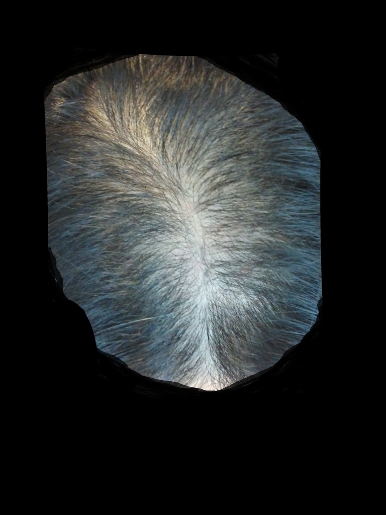 f:id:jfjfj:20180913090827j:plain