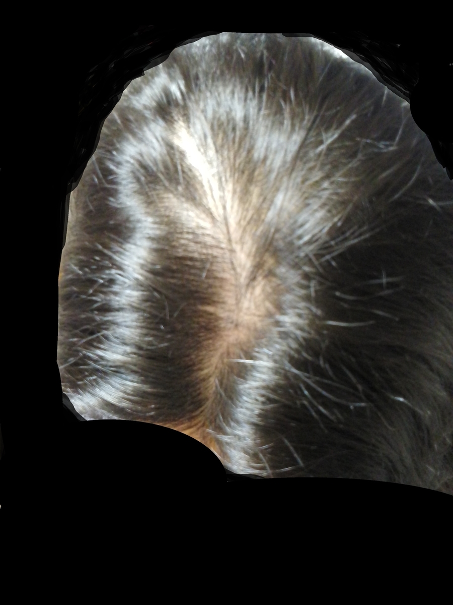 f:id:jfjfj:20200422225830j:plain