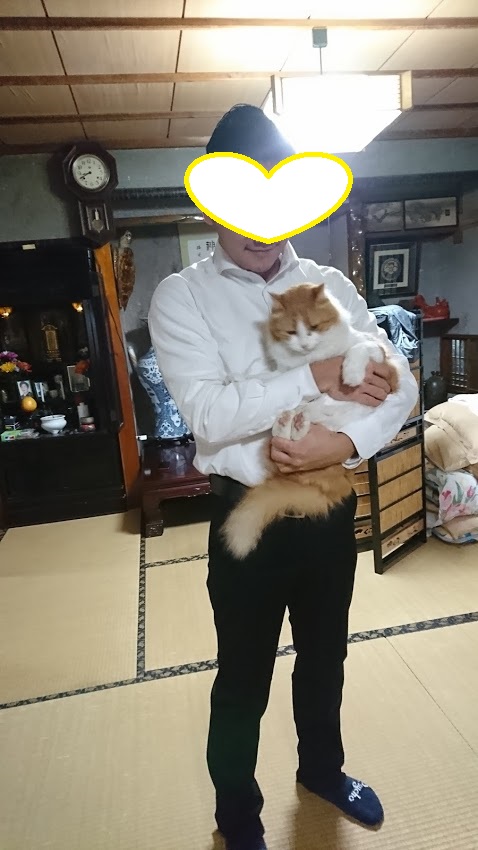 f:id:jflkg4u:20190324093217j:plain f:id:jflkg4u:20190324093217j:plain