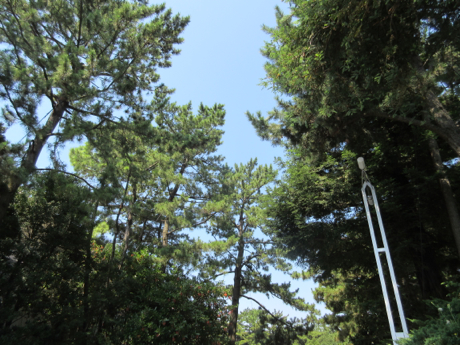 f:id:jflute:20150727095601j:image f:id:jflute:20150727095601j:image