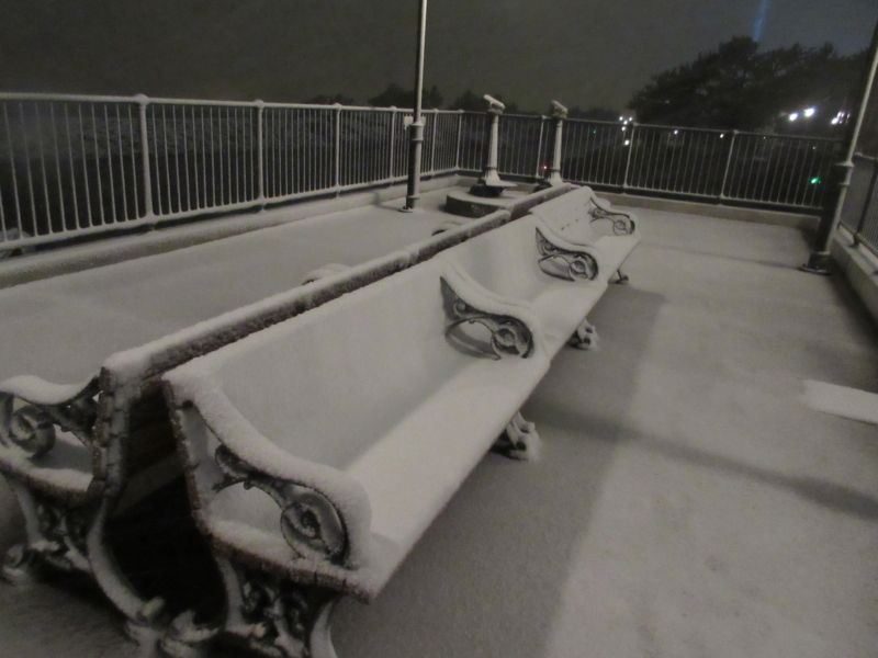 雪夜のディズニーシー2018 Jfluteの日記 雪夜のディズニーシー2018 Jfluteの日記