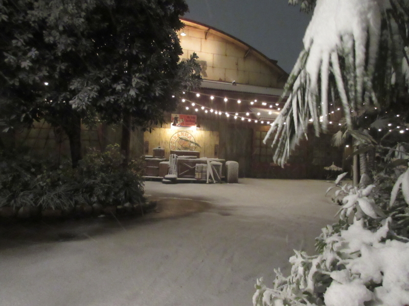 f:id:jflute:20180122184456j:image