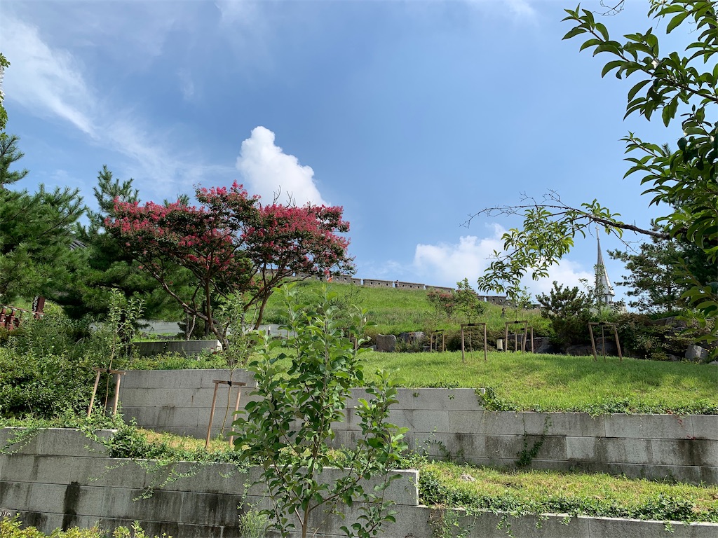 f:id:jgcjoshi:20190908221129j:image