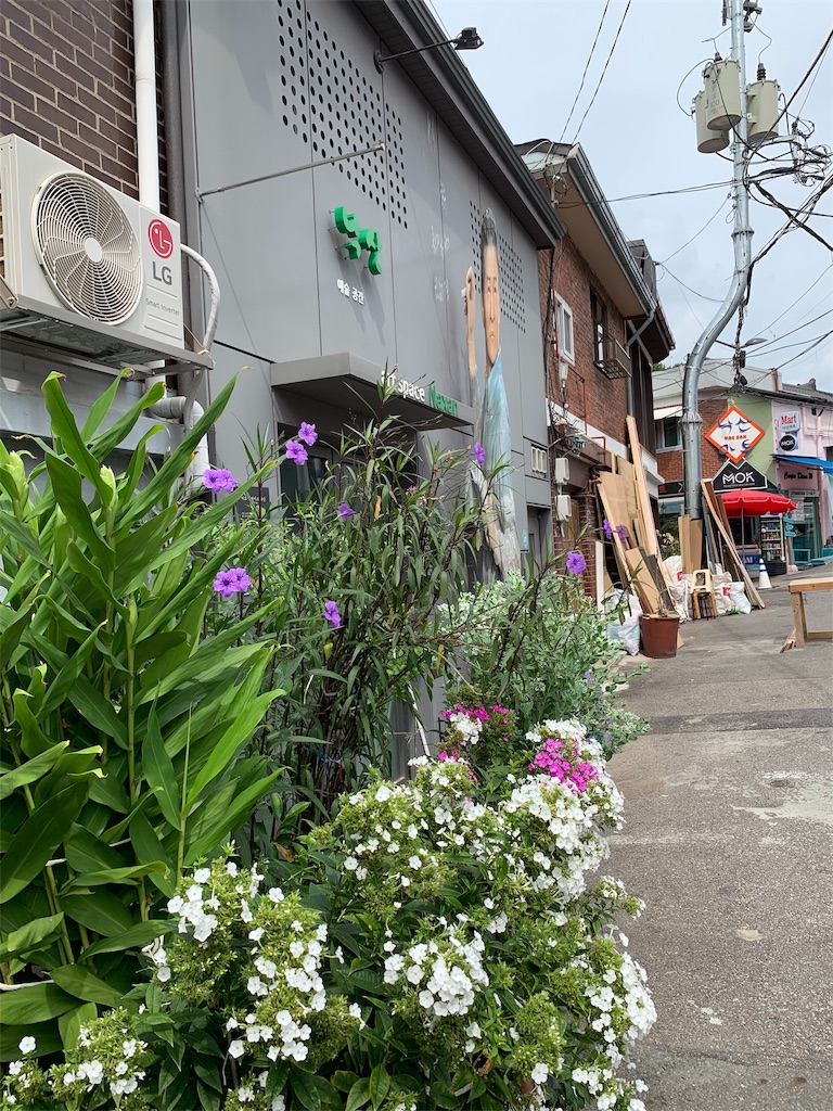 f:id:jgcjoshi:20190908221203j:image
