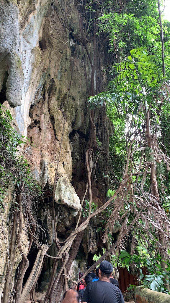 f:id:jgcjoshi:20191228175304j:image