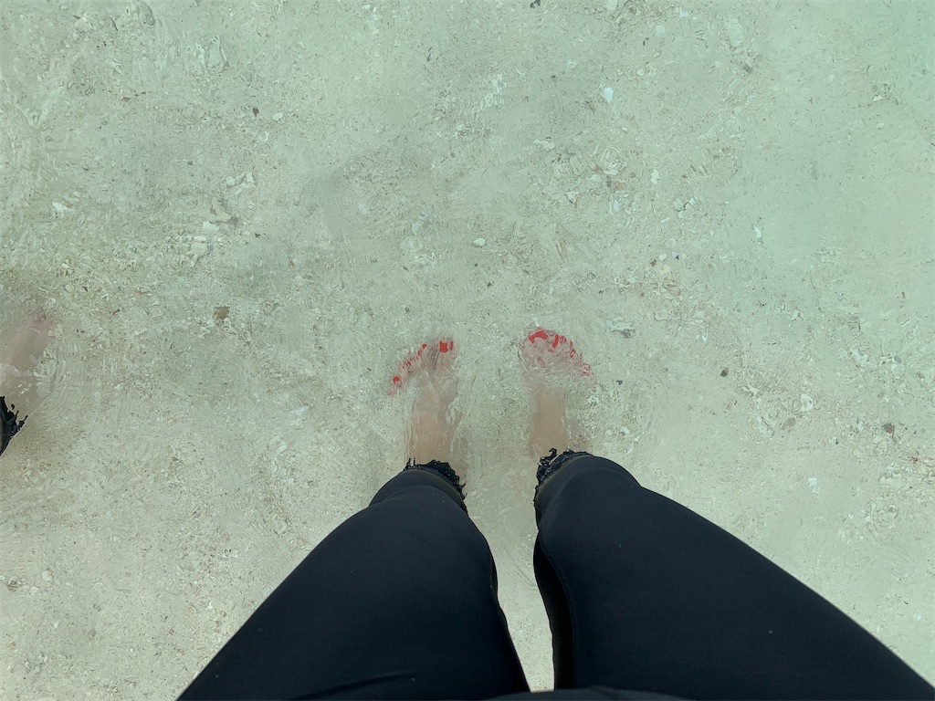 f:id:jgcjoshi:20191228175342j:image