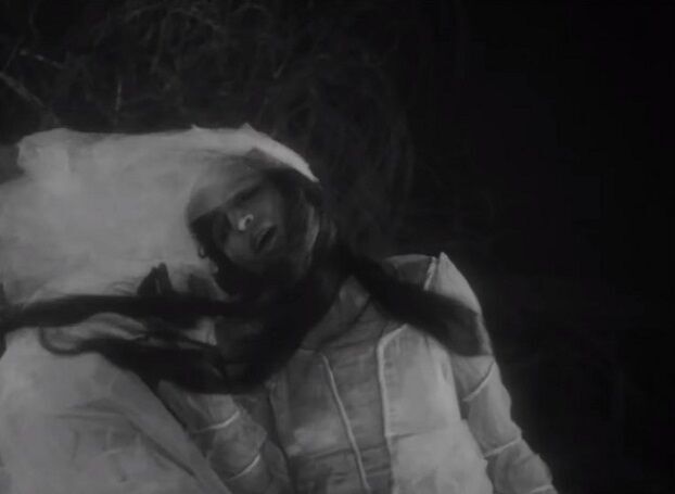 ジル・ドゥルーズが語った映画① - 映画に狂って