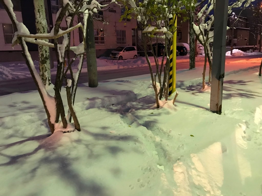 車 雪下ろし 傷つかない Kuruma 車 雪下ろし 傷つかない Kuruma