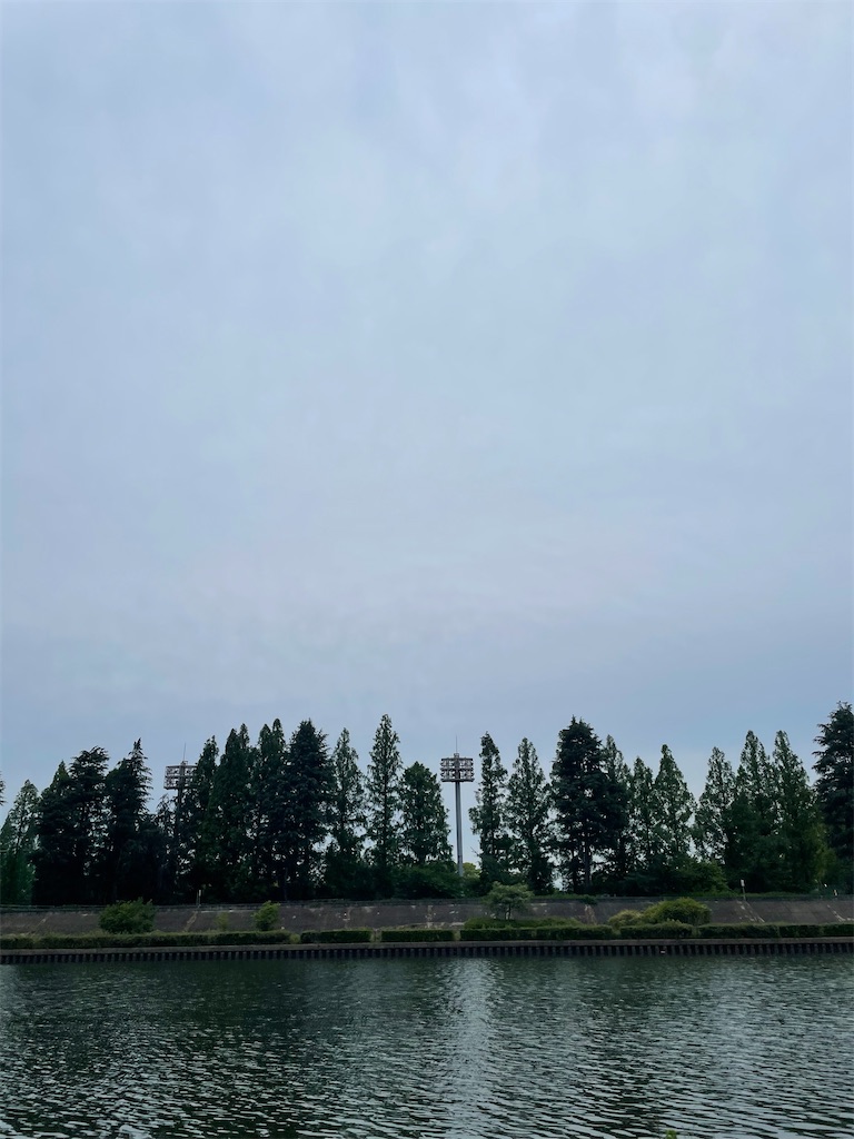 f:id:jibmfmm:20240623030556j:image
