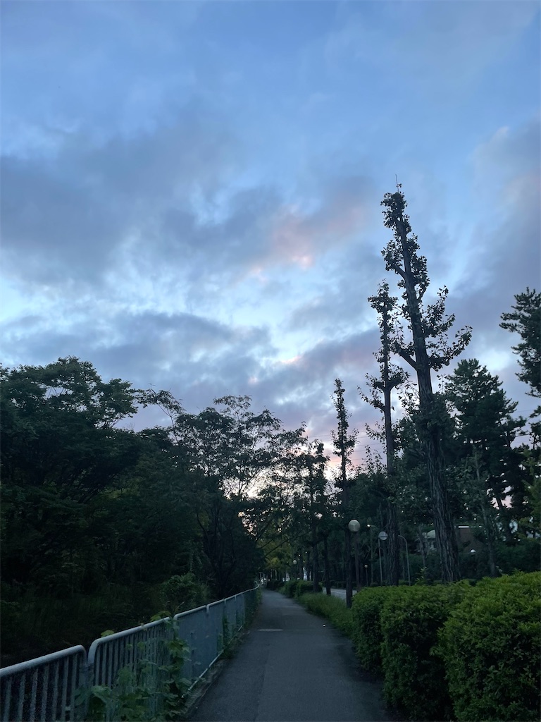 f:id:jibmfmm:20241007062530j:image
