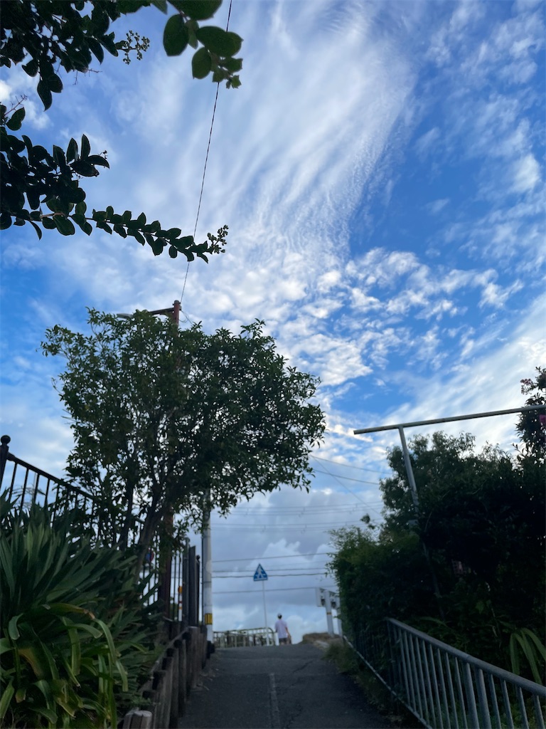 f:id:jibmfmm:20260830051232j:image