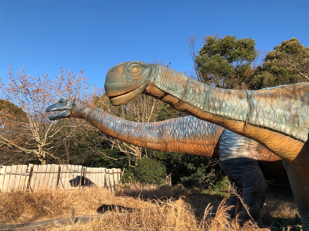 f:id:jibu3:20190114144517j:image
