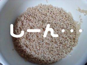 発芽しない玄米