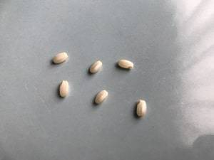 発芽した玄米