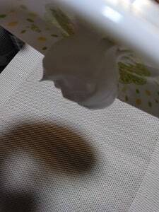 炭酸パックの泡を逆さにした写真