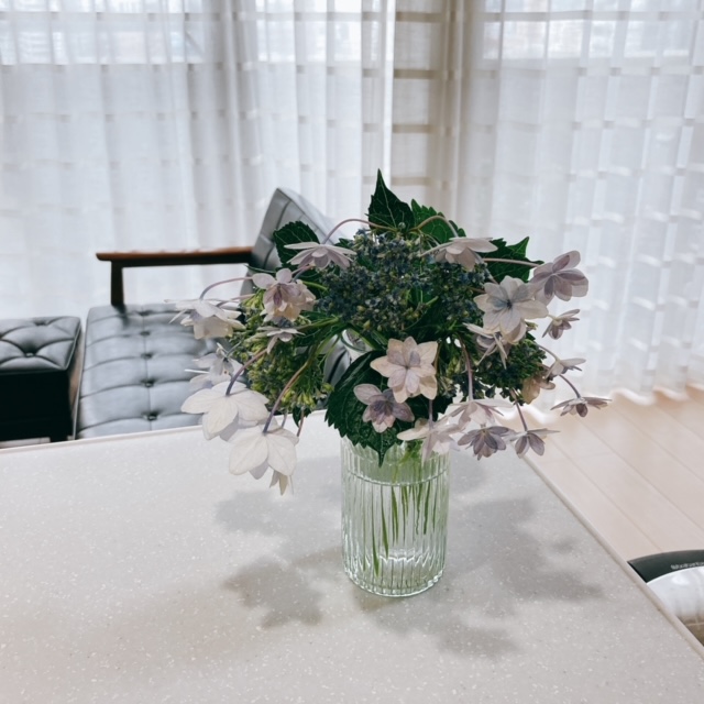 ベランダの紫陽花 自分暮らし 癒やし時間