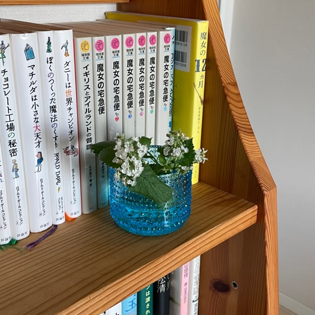 ベランダで虫との闘い 自分暮らし 癒やし時間 ベランダで虫との闘い 自分暮らし 癒やし時間