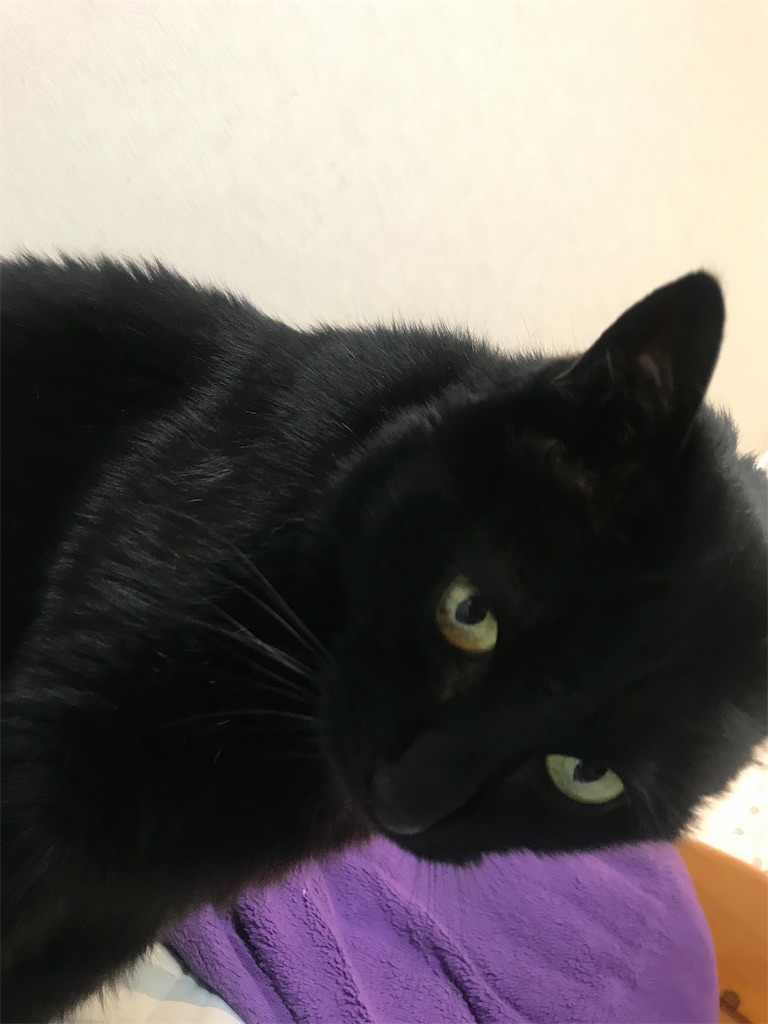 f:id:jidaraku91:20190624000930j:image f:id:jidaraku91:20190624000930j:image